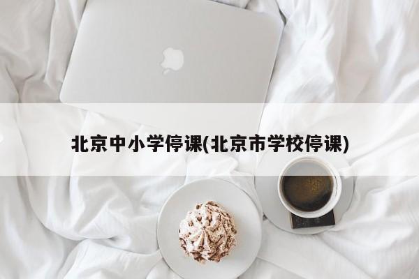 北京中小学停课(北京市学校停课)