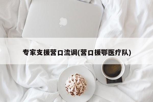 专家支援营口流调(营口援鄂医疗队)