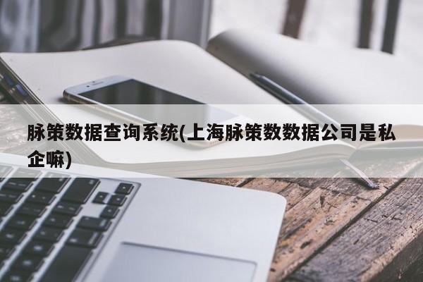 脉策数据查询系统(上海脉策数数据公司是私企嘛)